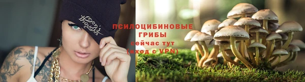экстази Алексеевка